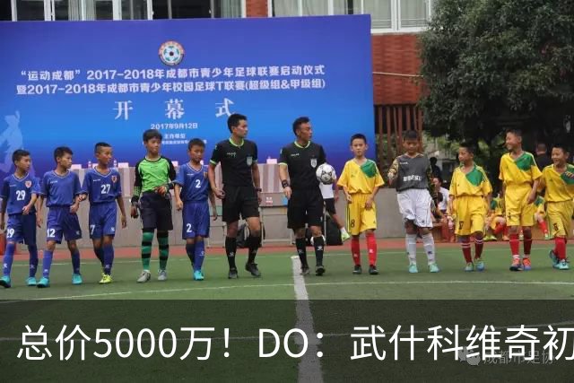 总价5000万！DO：武什科维奇初始转会费4600万镑，热刺有二转分成