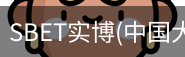 SBET实博